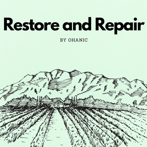 Restore and Repair
