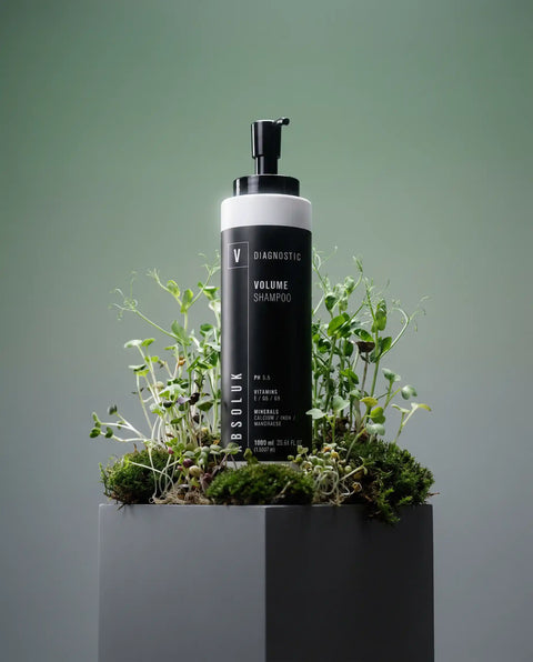 Volumen Shampoo von Absoluk